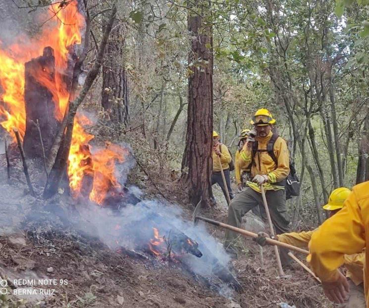 Logran controlar al cien por ciento incendio en El Pajonal