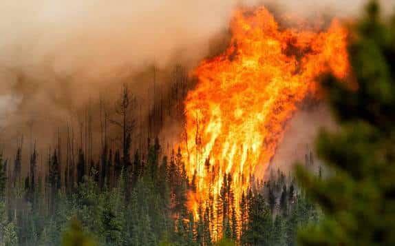 Ya suman 677 los mega incendios en Canadá