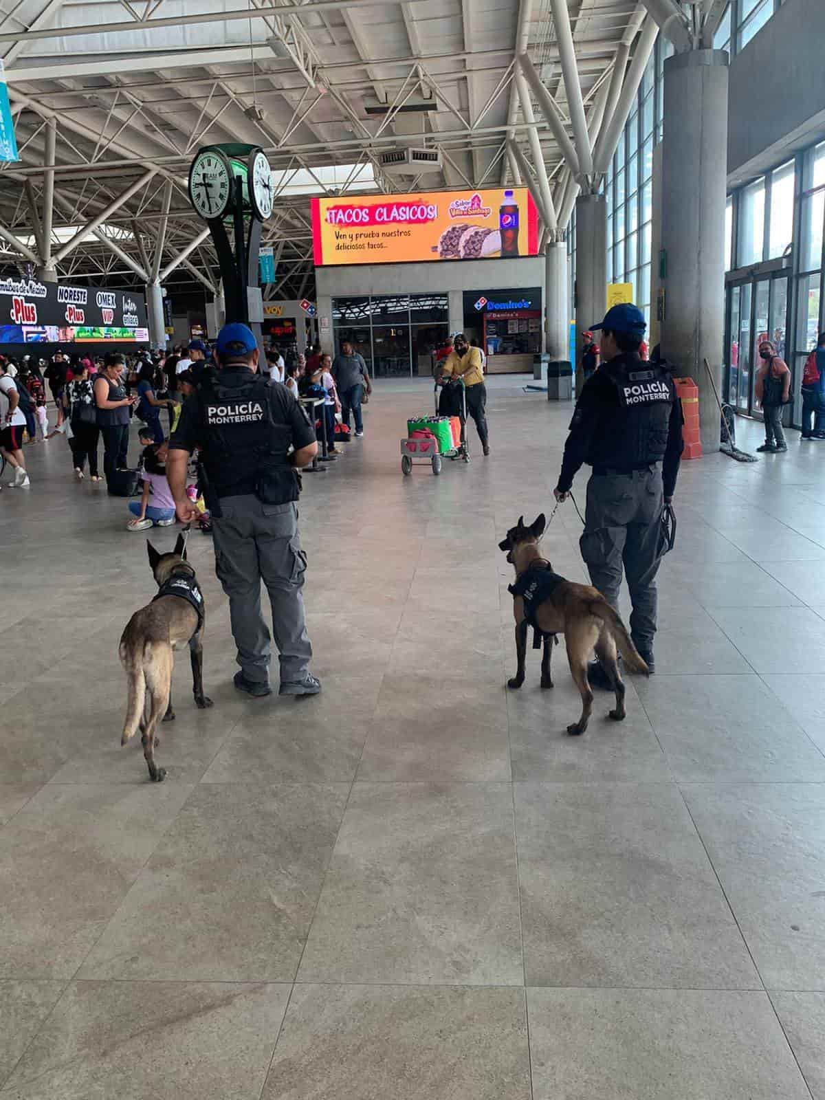 Con oficiales y binomios de la unidad canina, la Secretaría de Seguridad y Protección a la Ciudadanía de Monterrey reforzó la vigilancia en el área de la Central de Autobuses, con motivo de las vacaciones de verano.