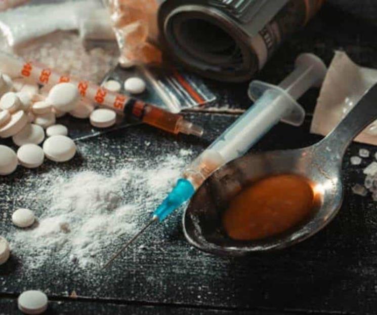 Decomisan más de 11 mil kilogramos de drogas en Hidalgo