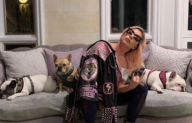 Lady Gaga recibe recompensa por caso de su perro