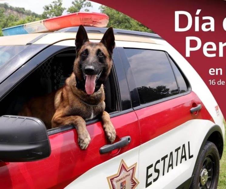 Junior, perrito que destaca en Guardia Estatal de Tamaulipas