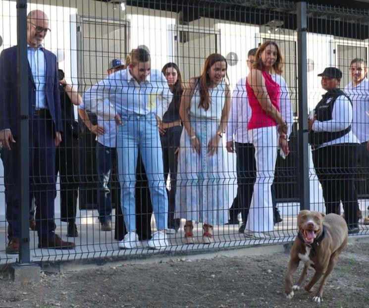 Inauguran Centro de Bienestar Animal en San Pedro