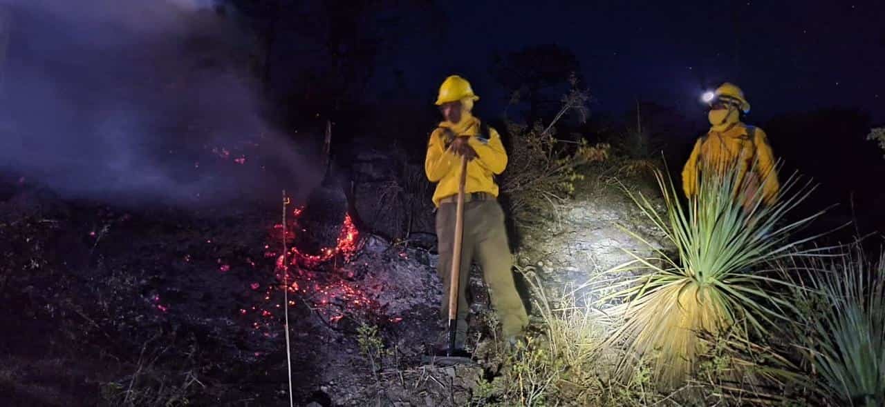 El incendio forestal que se registró el lunes en el Ejido San Lucas, municipio de Galeana, fue controlado por elementos de la Brigada Fénix de Protección Civil de Nuevo León.