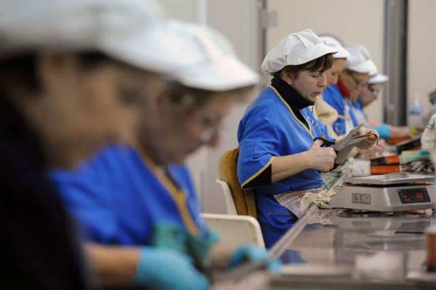 Hay en NL más de 100 mil mujeres listas para trabajar
