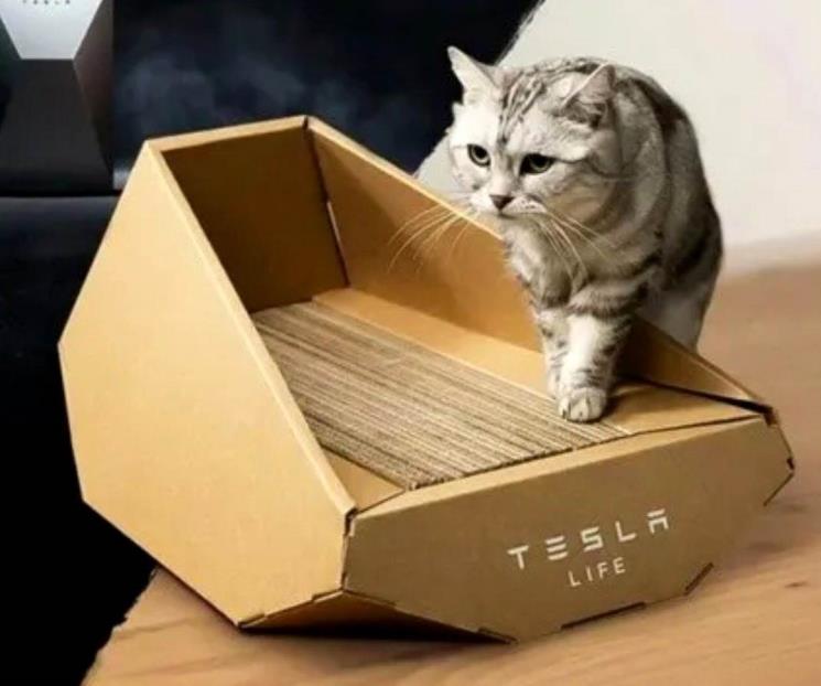 Lanza Tesla cama para gatos