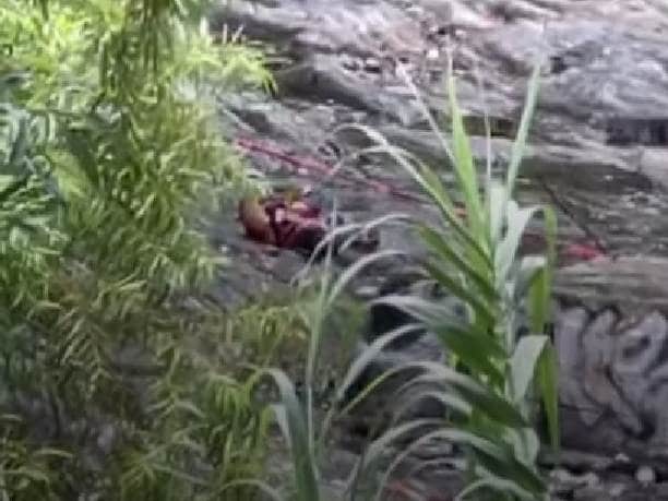 El cadáver de un hombre privado de la vida de diversas heridas por arma blanca, fue encontrado en el Río La Silla, ayer a la altura del Parque Canoas, en la Colonia San Ángel Sur, municipio de Monterrey.