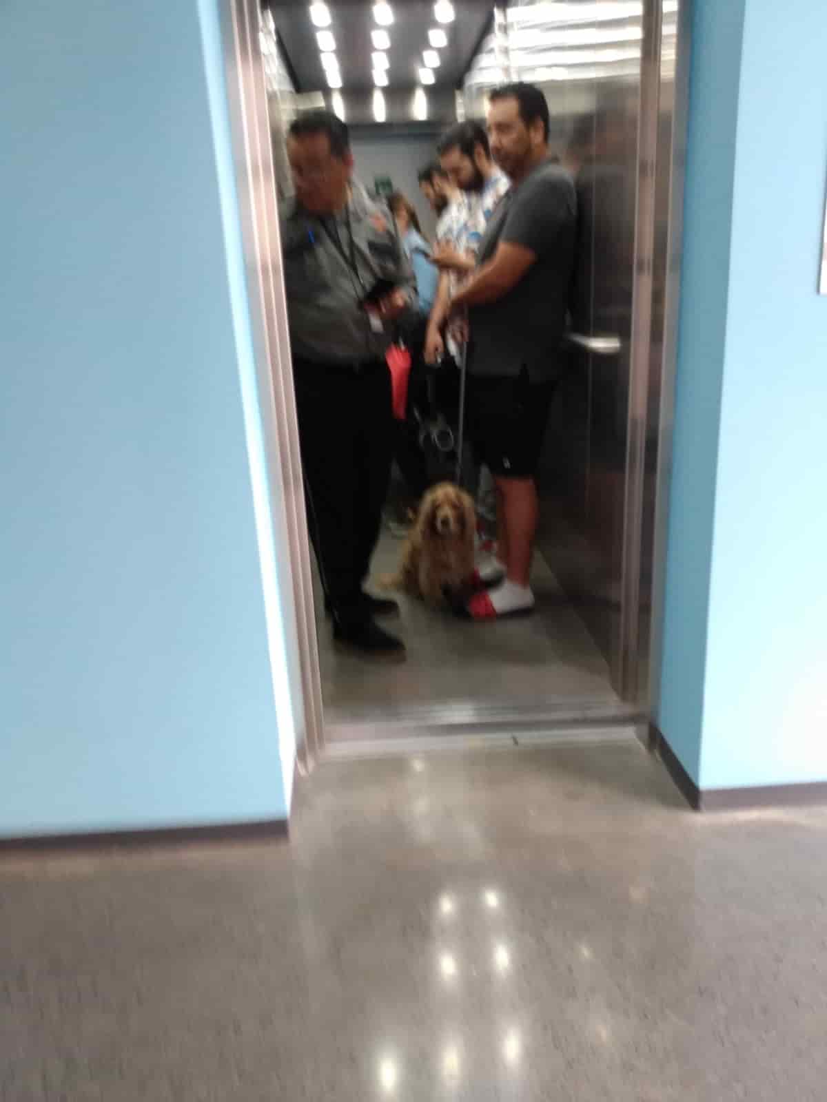 Al menos 40 minutos quedó atrapada una familia en un elevador del Edifico KYO, en el centro de Monterrey, donde elementos de Protección Civil del Estado los rescataron.