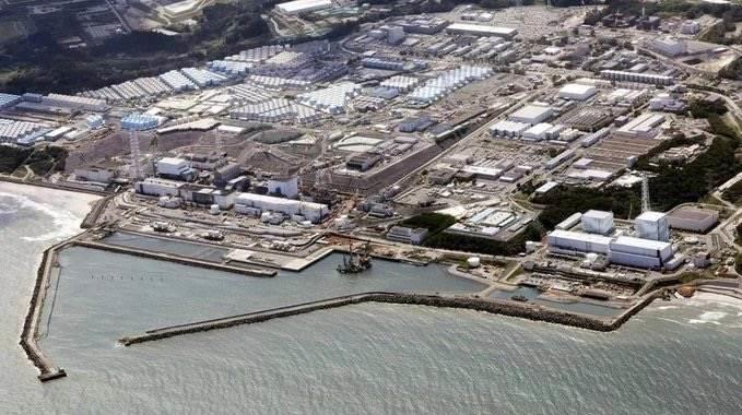 Prohíbe China venta de pescado japonés por radioactividad