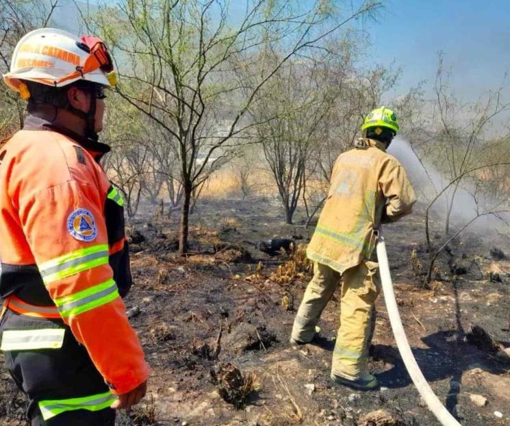 Sofocan presunto incendio provocado en el Río Santa Catarina
