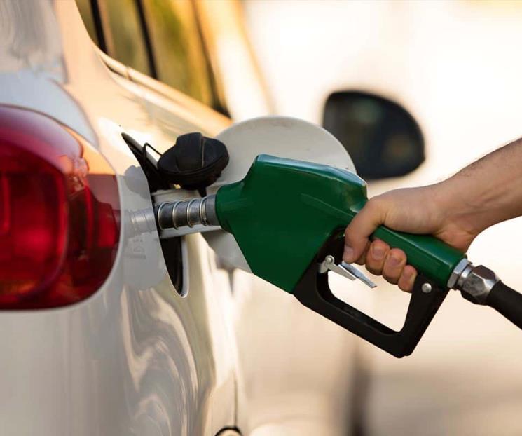 Precios de gasolina se mantendrán estables: Profeco