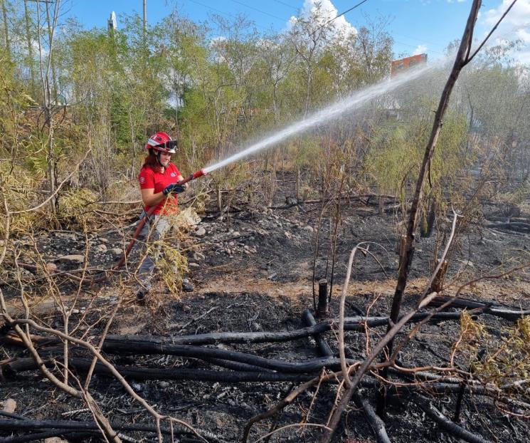 Se vuelven a registrar incendios en el Río Santa Catarina