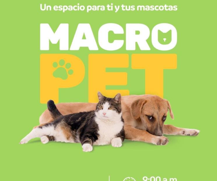 Emiten recomendaciones para el Macro Pet 2023