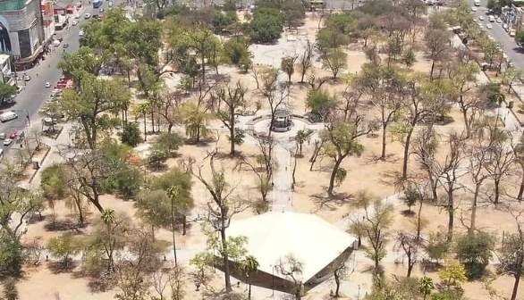 Afectó sequía a parques de Monterrey