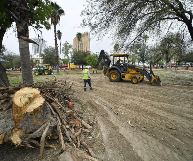 Retiran primeros 46 árboles en decadencia de La Alameda