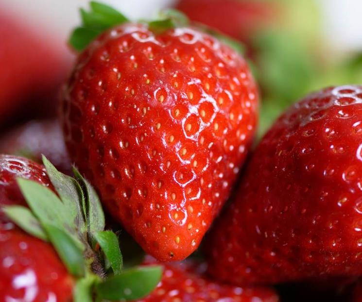 Conoce el fruto rojo ideal para reducir colesterol malo