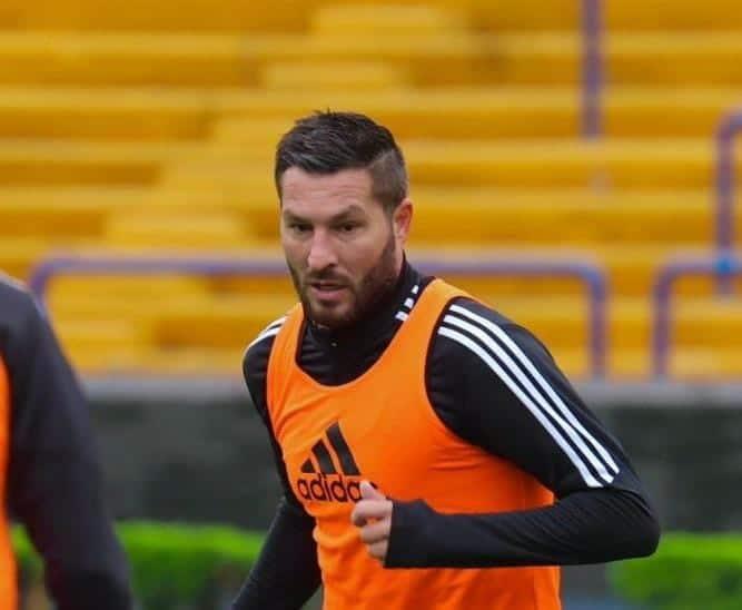 Recupera Tigres a Gignac