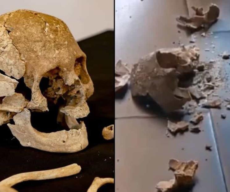 INAH investigará caída de cráneo de hace 700 años