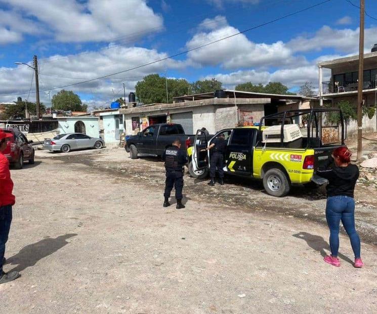 Reportan caso de envenenamiento masivo de perros en San Luis Potosí