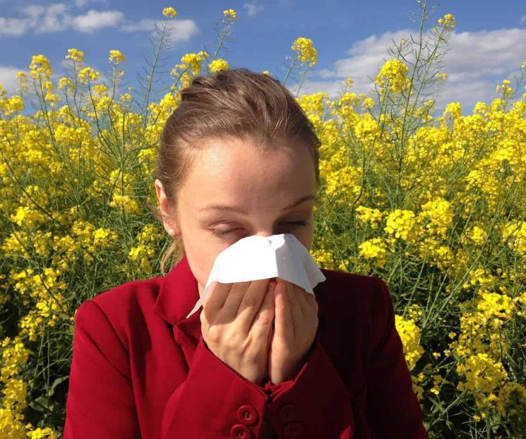 Cómo aliviar los síntomas de la sinusitis aguda