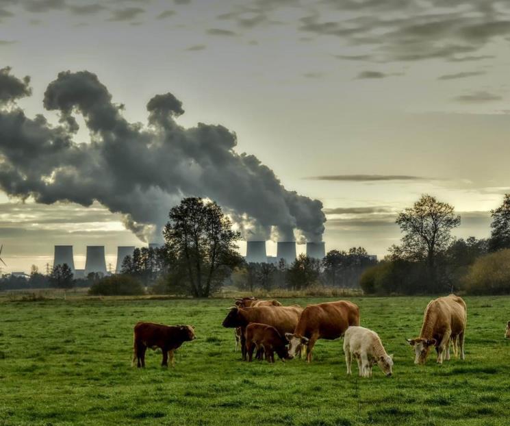 Contaminación por combustibles fósiles mata a 5 millones al año