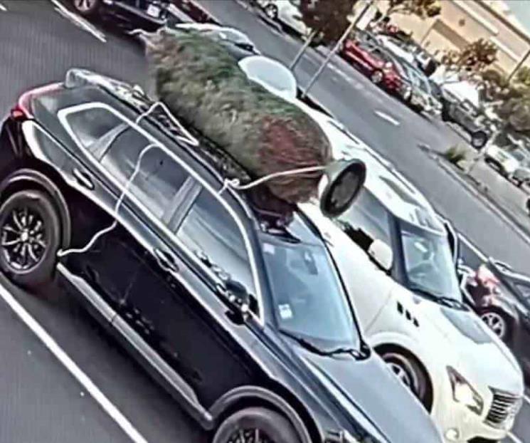 Hombre se roba árbol de Navidad de una camioneta en EU