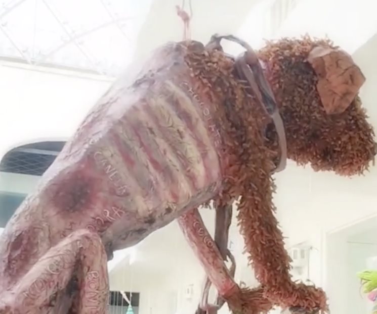 Piñata de un perro maltratado conmociona las redes