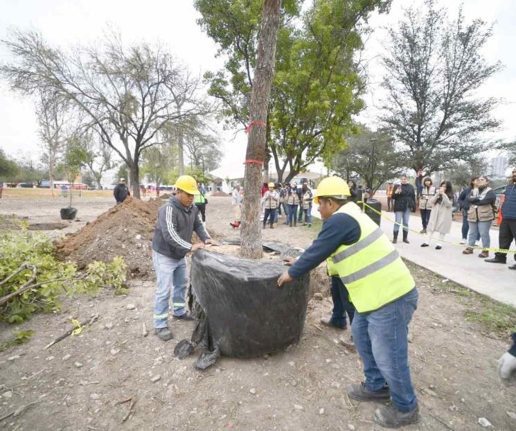 Inician plantación de 115 árboles en la Alameda