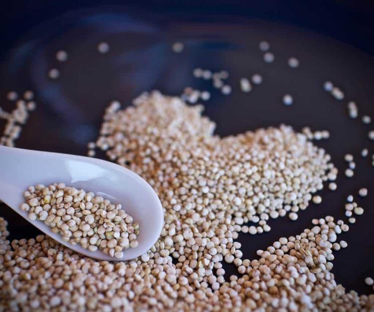 Los beneficios de la quinoa, semilla recomendada por la OMS y la FAO