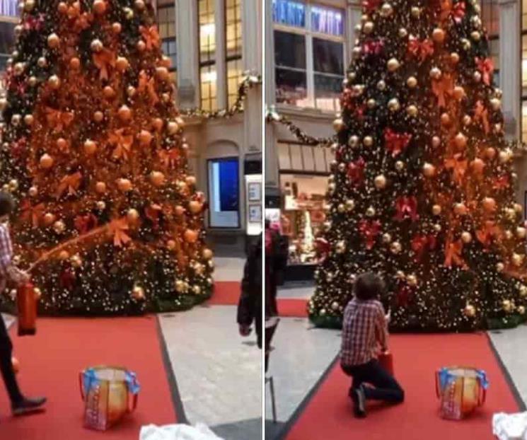 Activistas pintan de naranja árboles navideños en Alemania