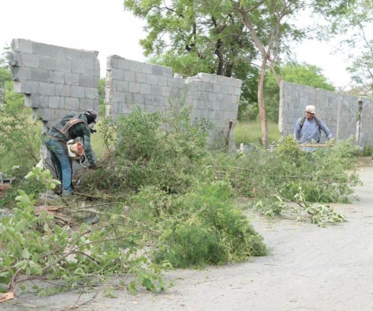 Llevan deshierbe y poda de árboles a colonias de Juárez