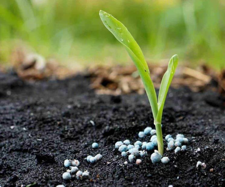 Usará gobierno 17 mil millones de pesos para comprar fertilizantes