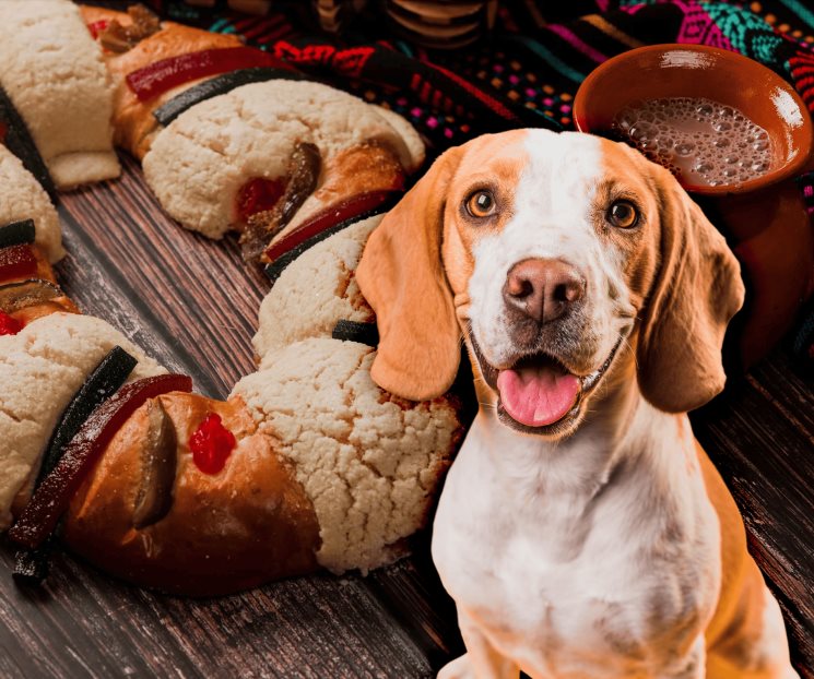 Rosca de Reyes para perritos; una deliciosa tradición para todos
