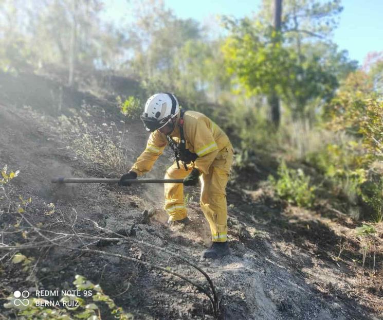 Controlan incendio forestal en Santiago