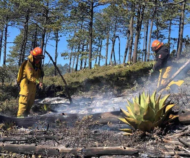 Combate Protección Civil incendio en Sierra de Iturbide