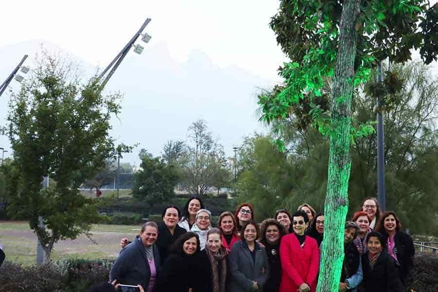 Encino de sororidad: profesoras adoptan árbol y apoyan estudiantes