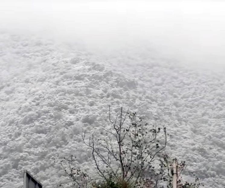 Cae nieve y aguanieve en zona citrícola