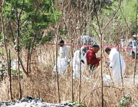 Encuentran restos humanos en dos bolsas en Escobedo