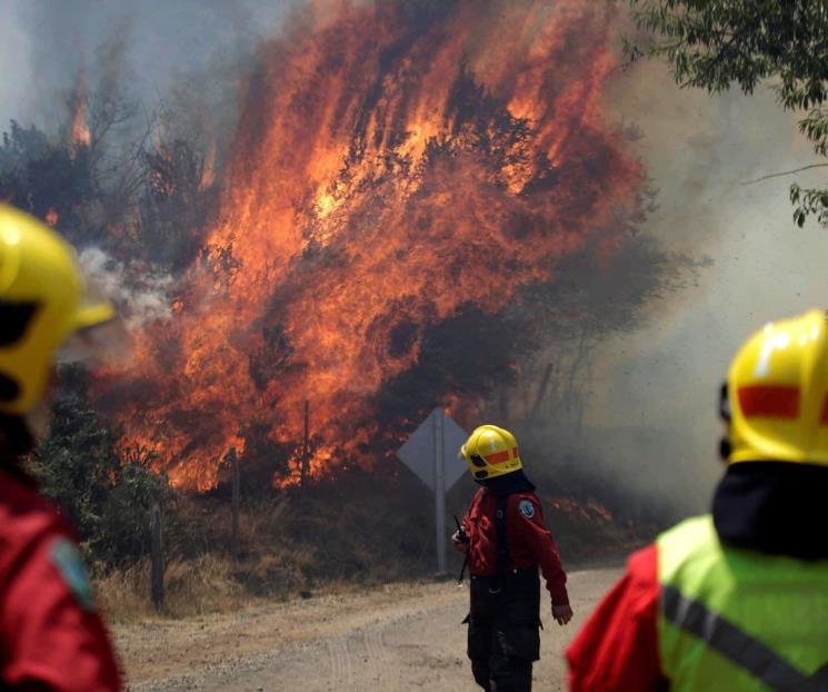 Enfrenta Chile incendios forestales