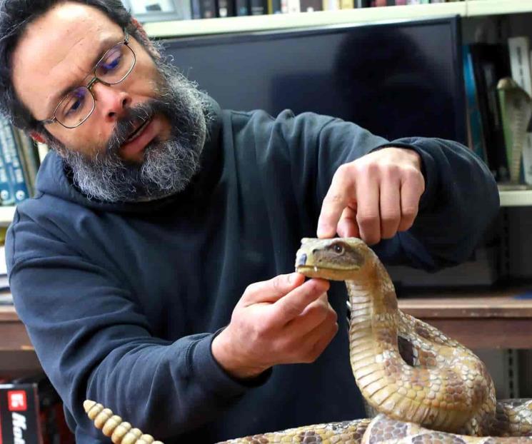 Es UANL líder nacional en el estudio de los reptiles