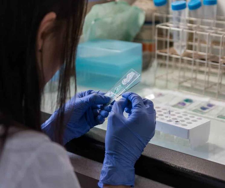 Detectan primer caso humano mortal de la viruela de Alaska