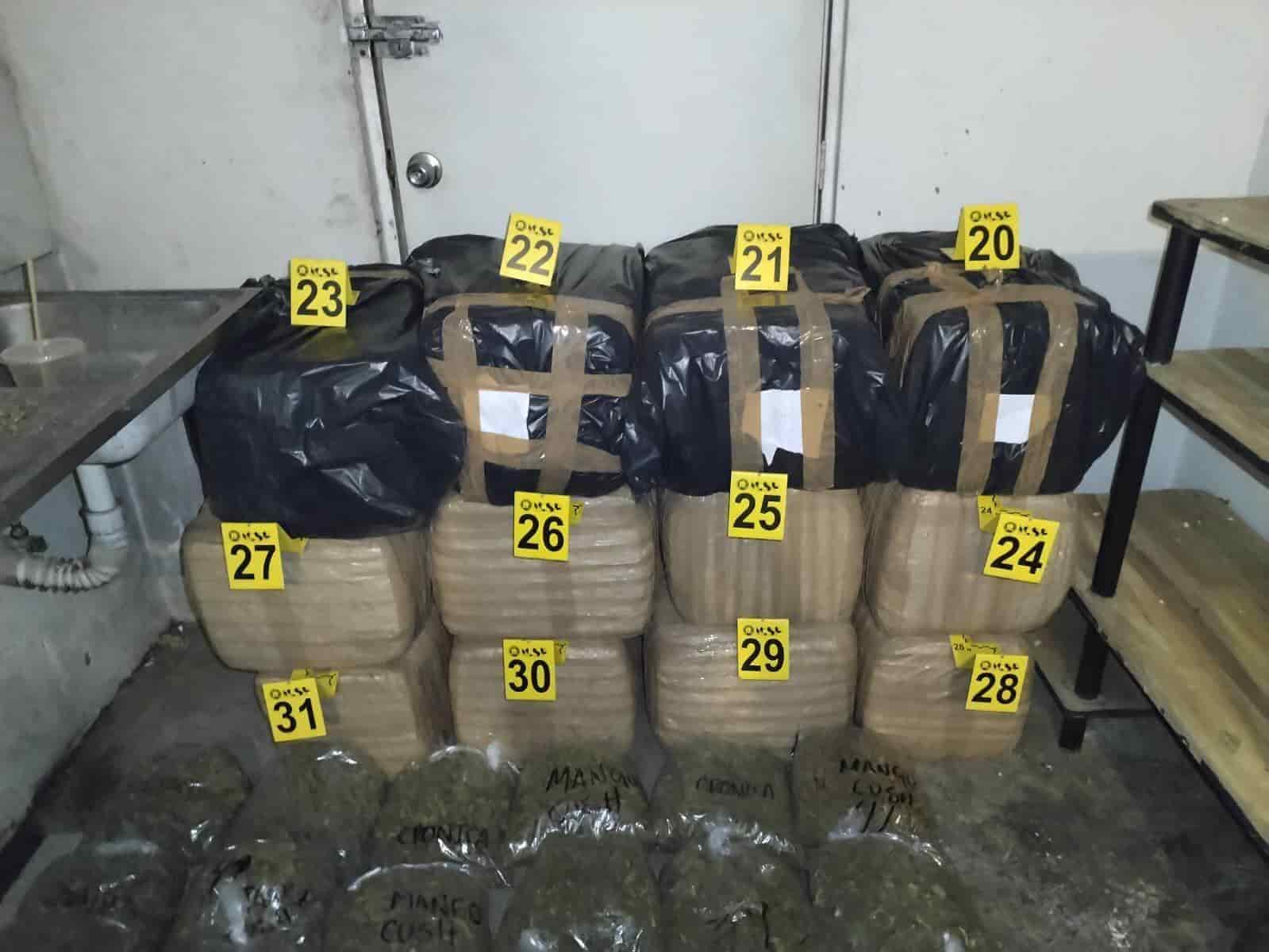 En un cateo realizado en una vivienda de la Colonia Morador de San Antonio, se aseguraron 250 kilos de marihuana, en el municipio de Benito Juárez.