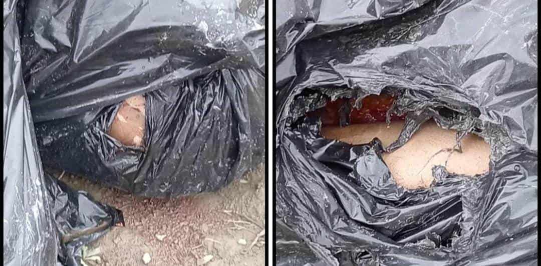 El cuerpo desmembrado de un masculino y puesto en tres bolsas negras de plástico, movilizó a las autoridades, en Juárez.