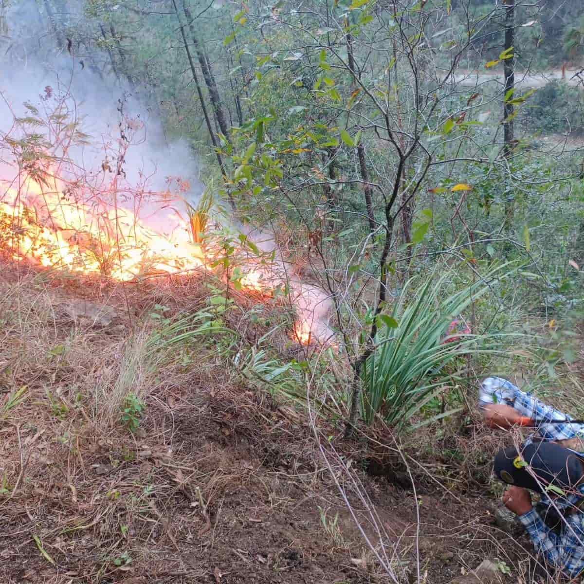 Protección Civil del Estado, informó que el incendio en la Sierra de Santiago, fue controlada en un 98 por ciento a 24 horas de haberse iniciado por causas aún desconocidas.