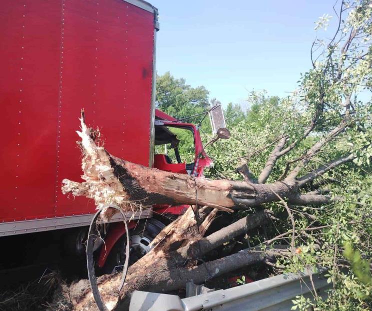 Impacta camión de carga contra árbol