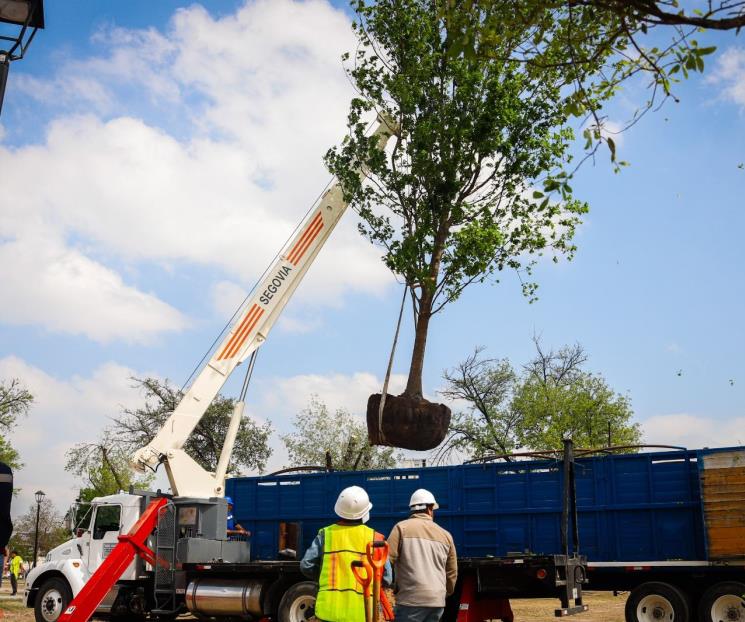 Reforesta Monterrey la Alameda con al menos 384 árboles