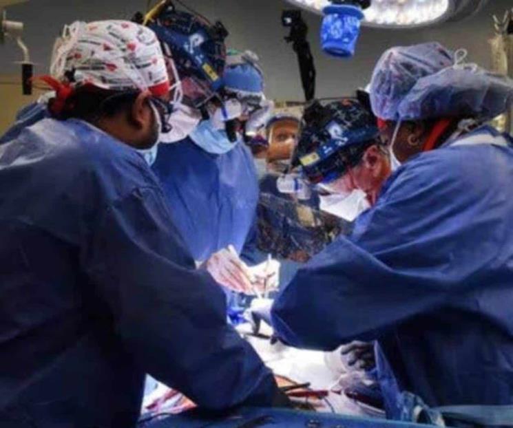 Recibe hombre trasplante de riñón de cerdo genéticamente modificado