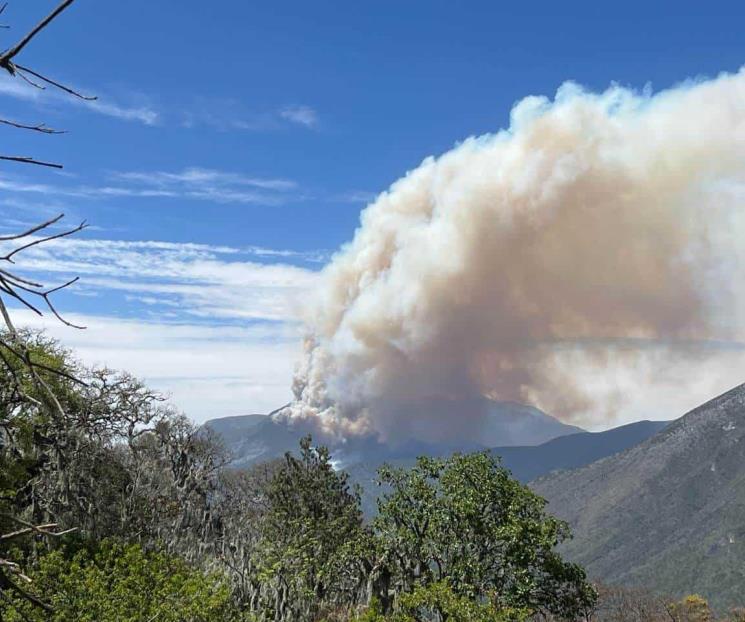 Surge incendio forestal en sierra de Zaragoza.