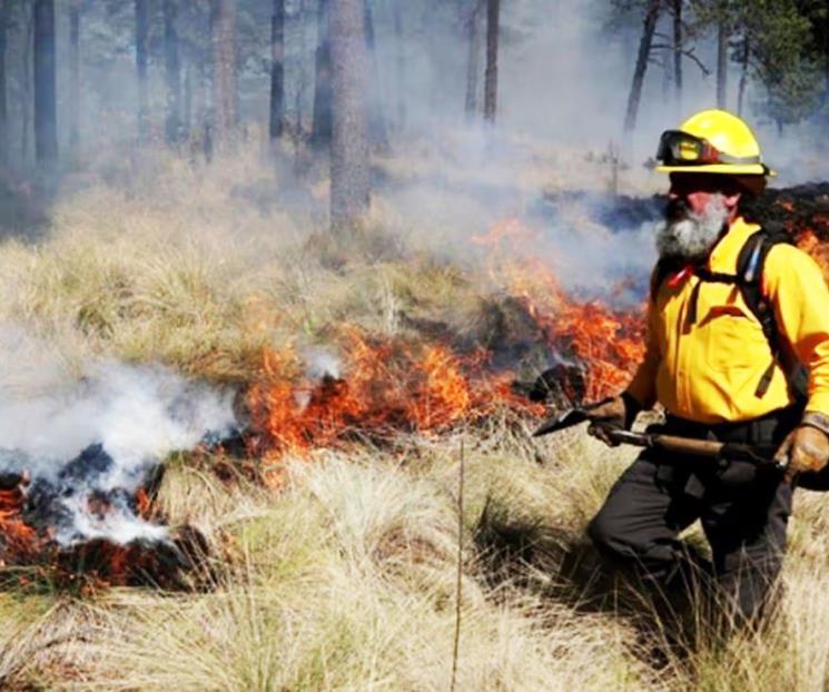 Siguen 113 incendios forestales activos en 20 estados