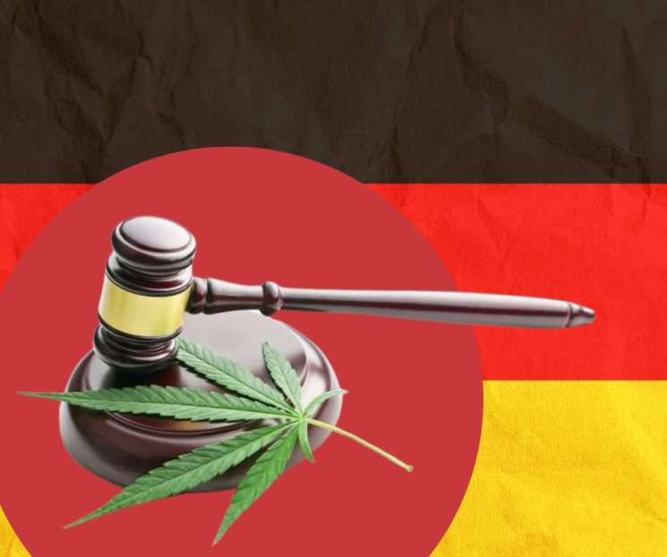 Legaliza Alemania consumo lúdico del cannabis